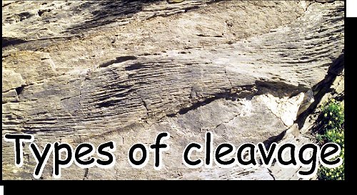 Types of cleavage